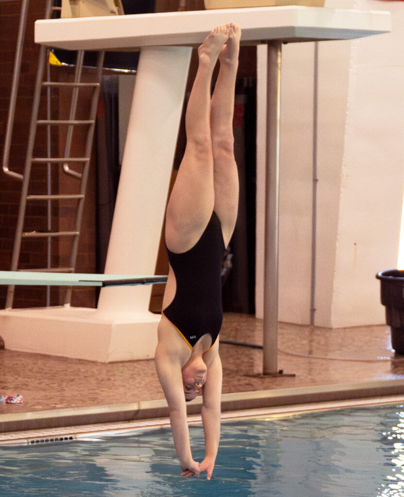 Upper Arlington's Madison Vermilion dives