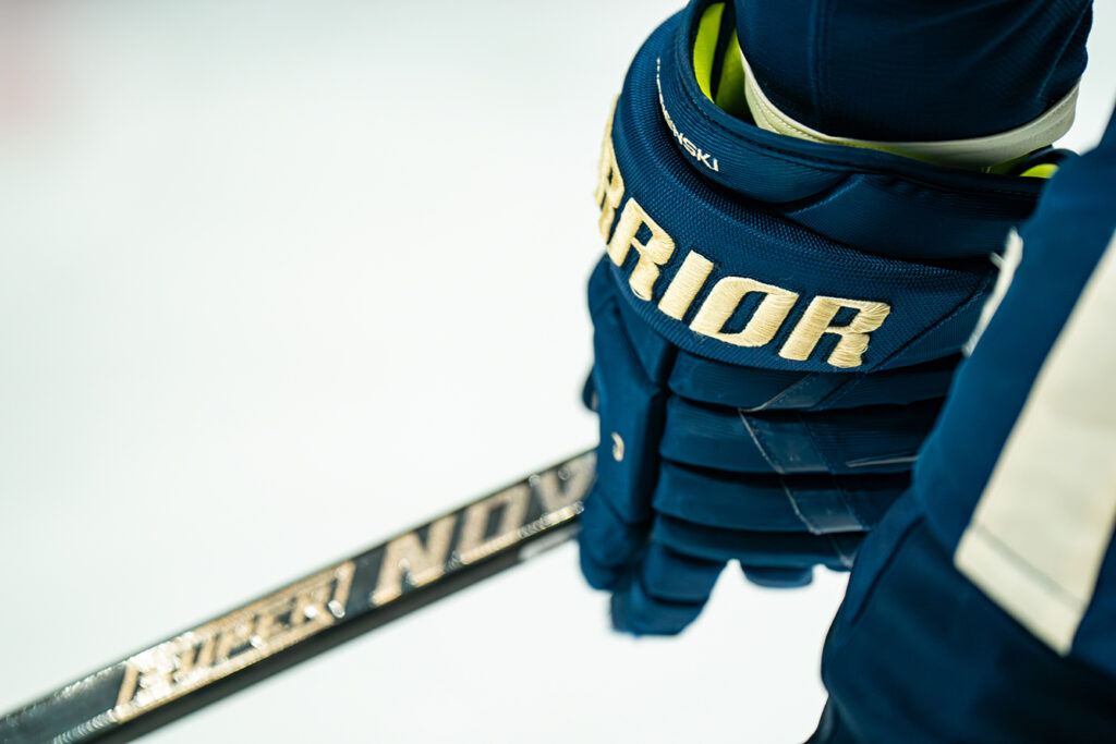 CBJ glove and stick photo