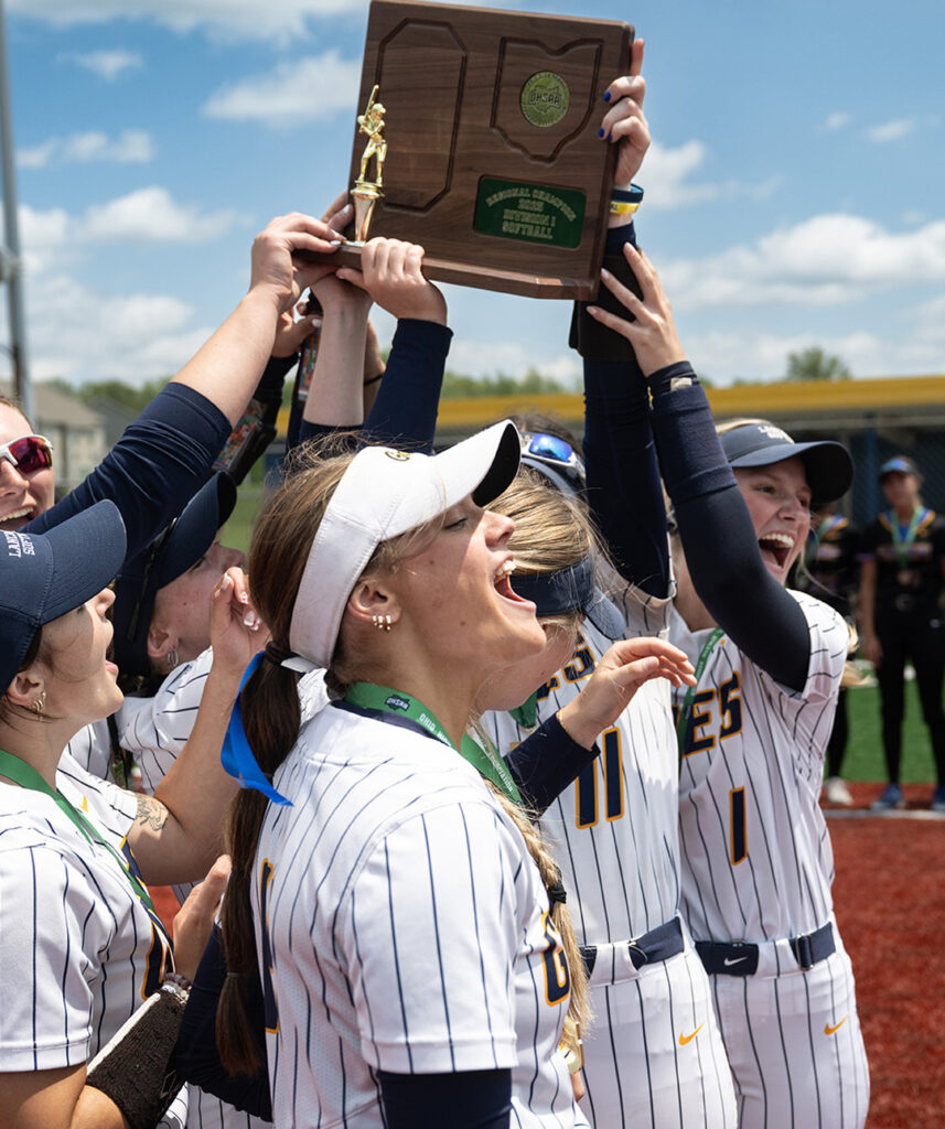 Lancaster softball players celebrate side graphic