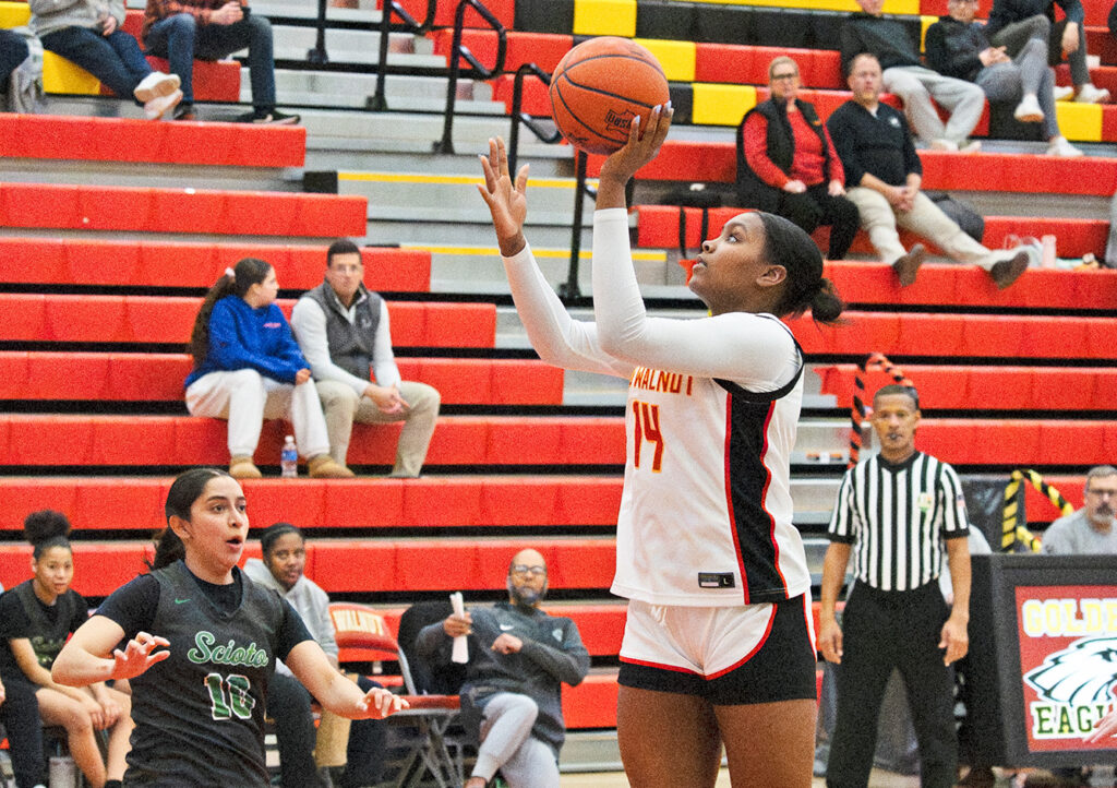 Big Walnut's Sydney Mobley shoots in lane
