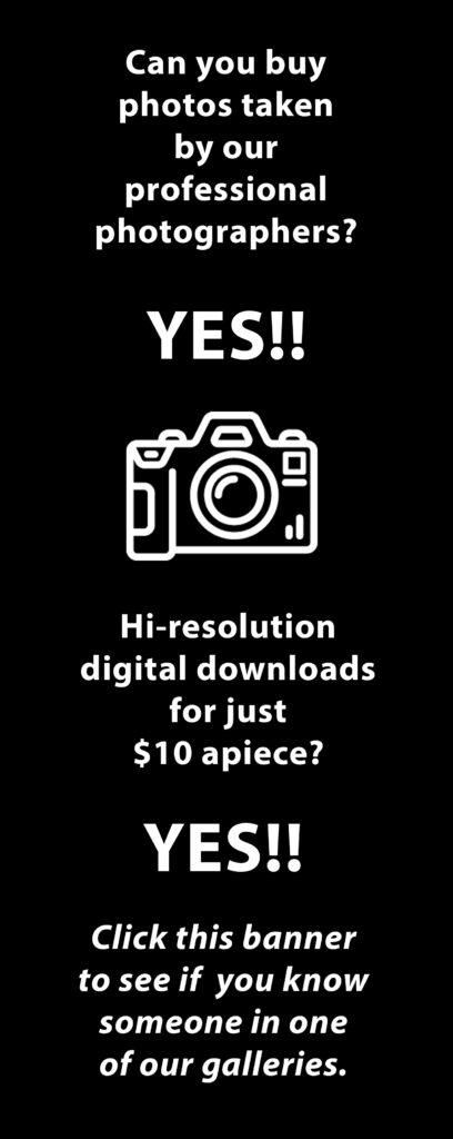 Buy our photos ad banner
