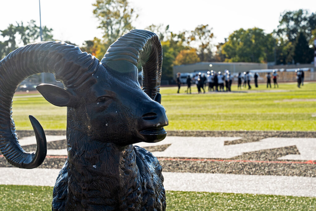 Whitehall's ram statue next to field